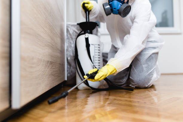 Best Pest Removal Services  in Eagle Lake, WI