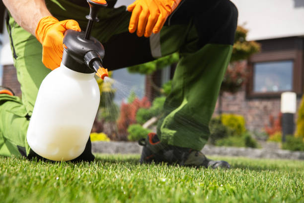 Best Rat Extermination Near Me  in Eagle Lake, WI