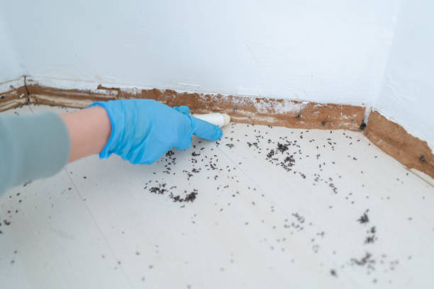 Pest Control Cost in Eagle Lake, WI