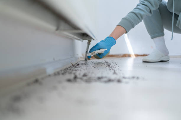 Best Pest Control for Restaurants  in Eagle Lake, WI